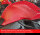 Lackschutzfolien Set Tankpad 1-teilig Ducati Monster Bj. ab 26
