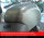 Lackschutzfolien Set Tankpad 1-teilig Ducati GT 1100 Bj. 05-10